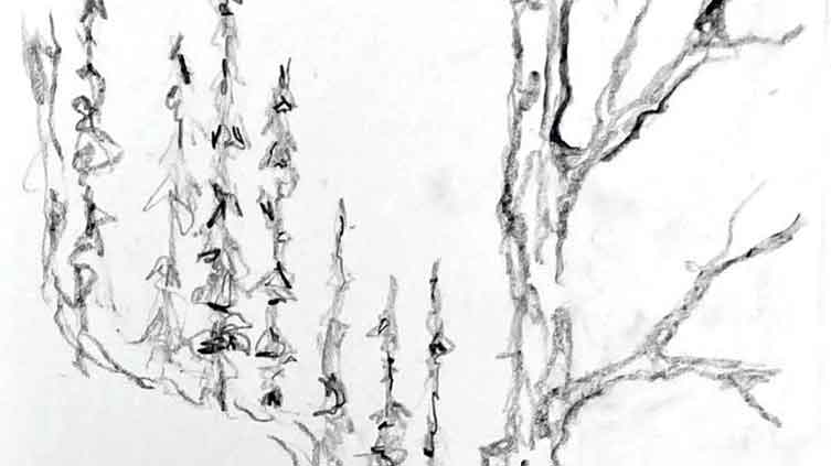 Trees_as_witness-ausschnitt